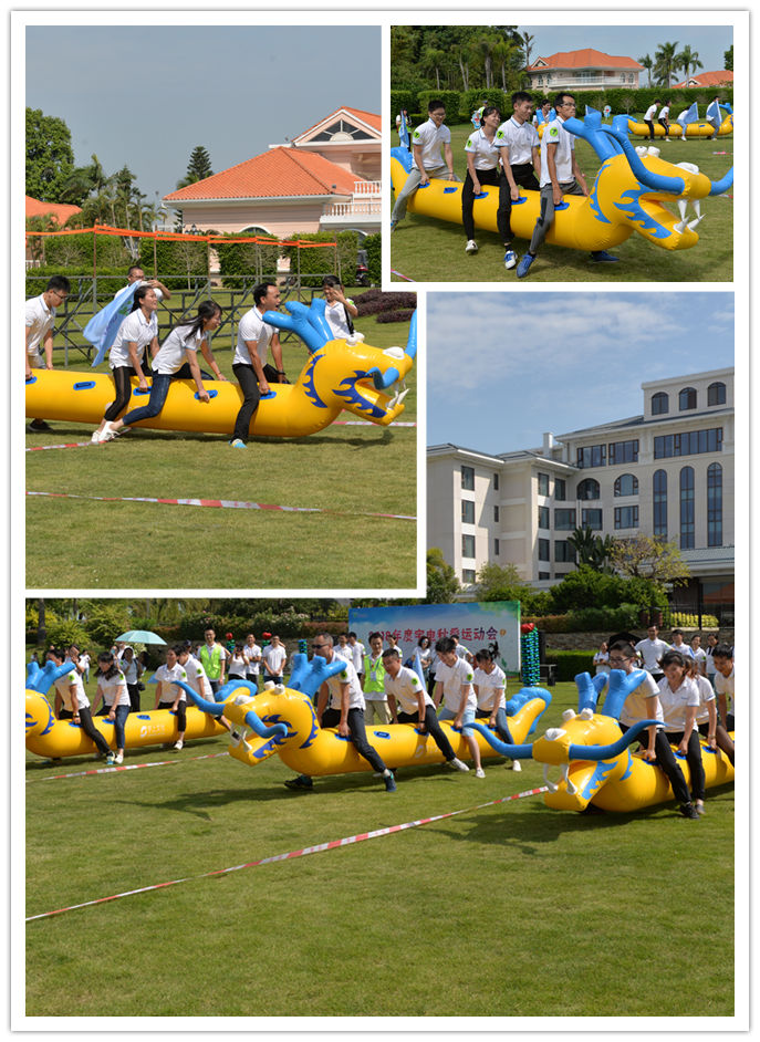 DS1111.jpg DS1111.jpg