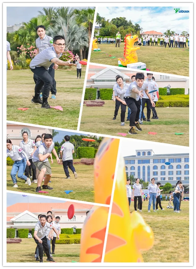 13.webp.jpg 13.webp.jpg